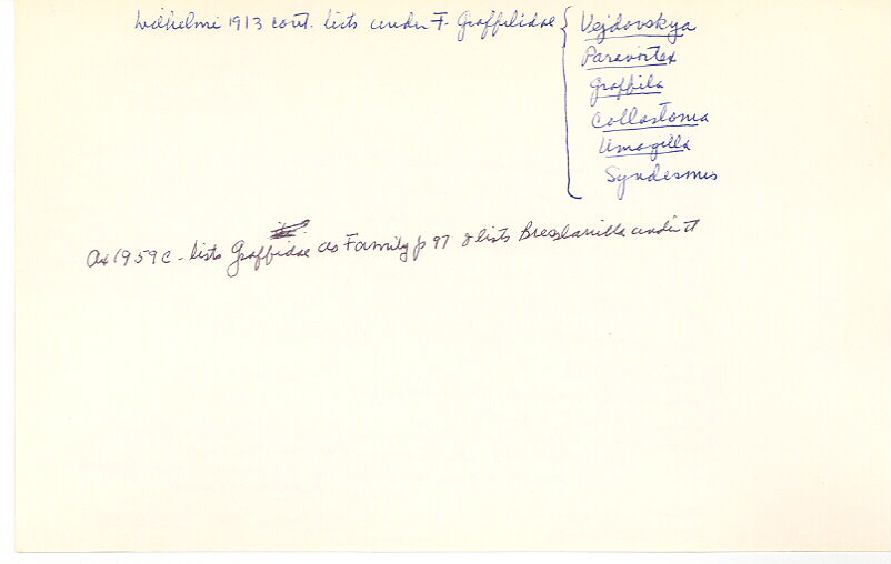 index card