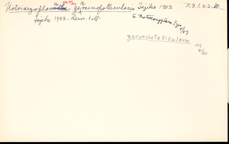 index card