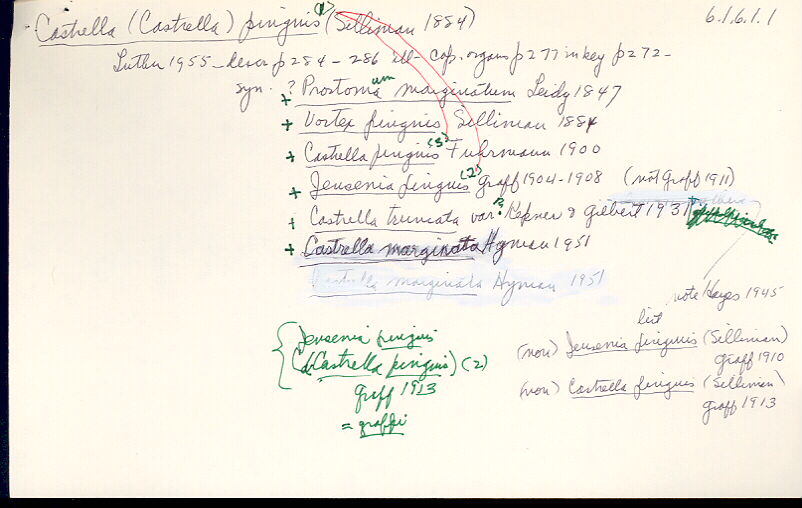 index card