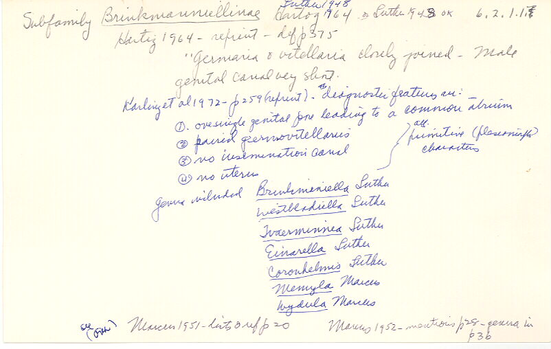 index card
