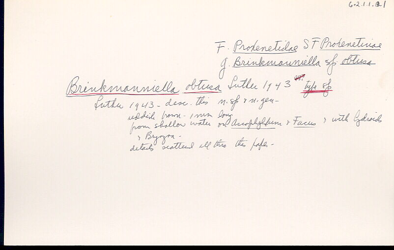 index card
