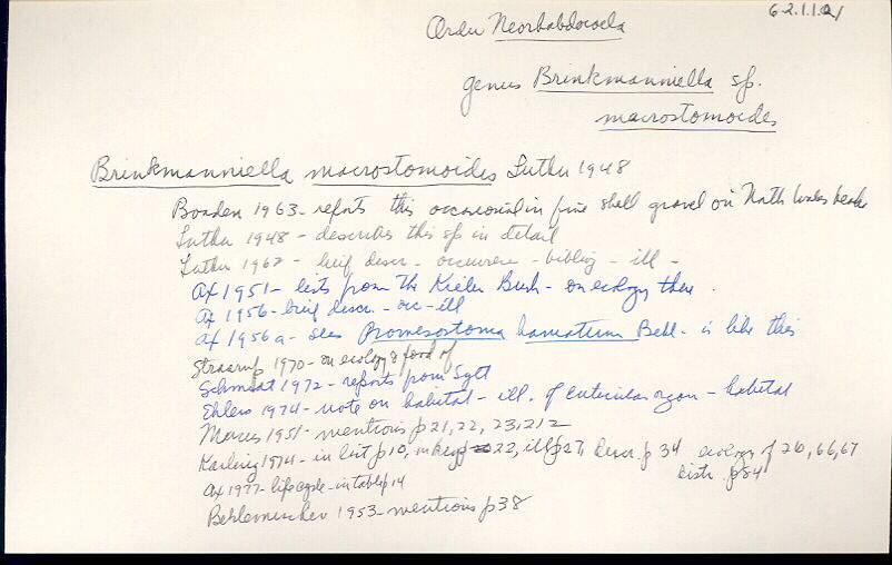 index card