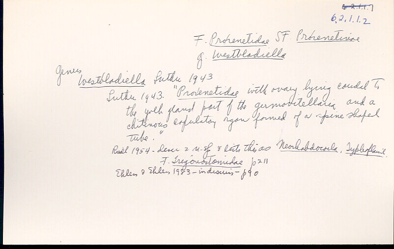 index card