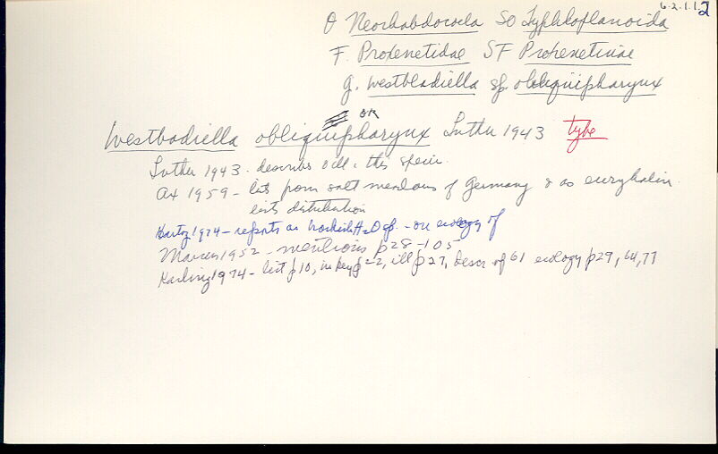 index card