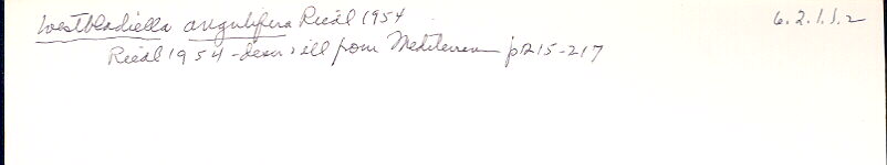 index card