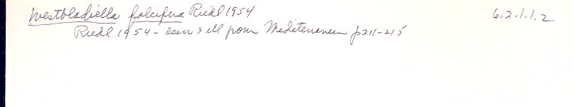 index card