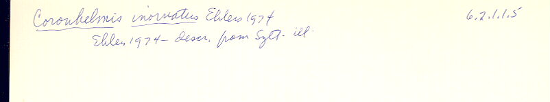 index card