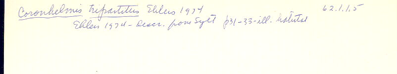 index card