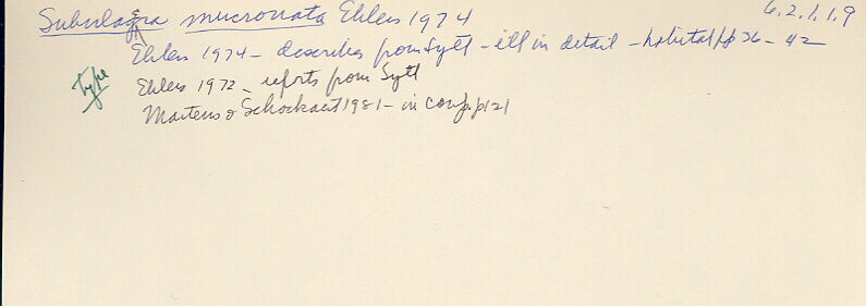 index card
