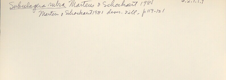 index card