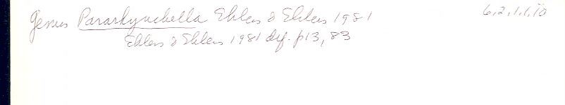 index card