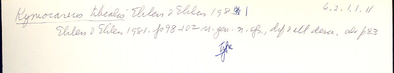 index card