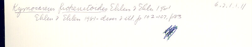 index card
