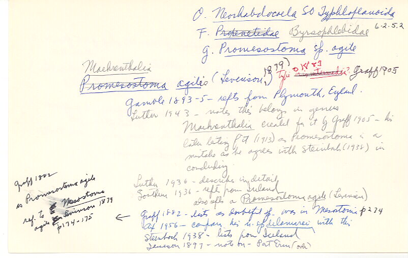 index card