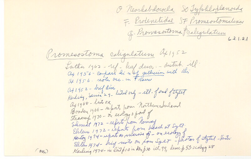 index card