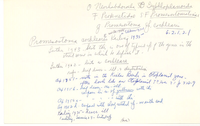 index card