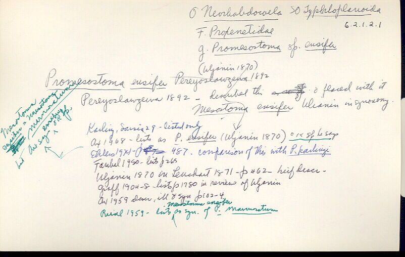index card