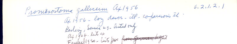 index card