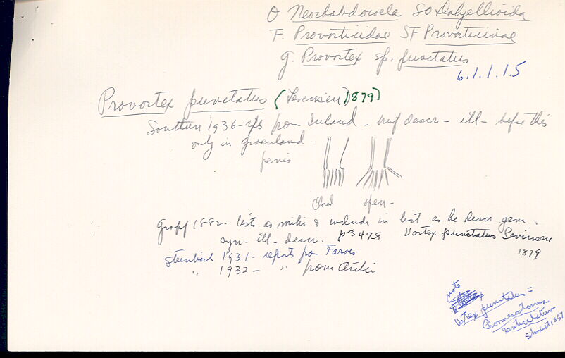 index card
