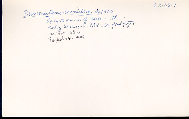 index card