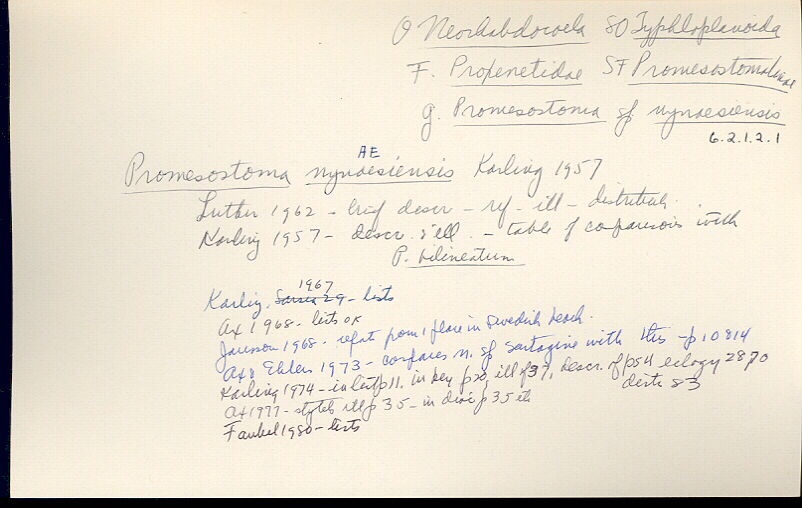 index card