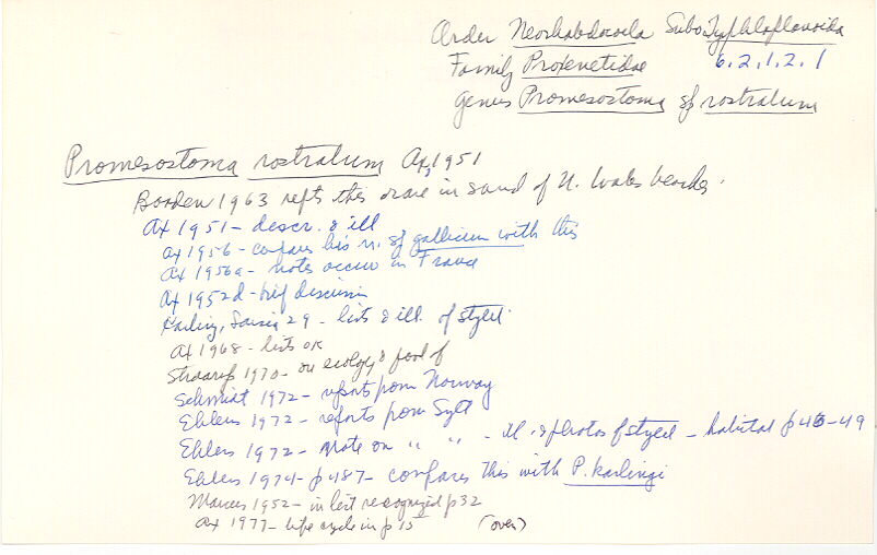index card