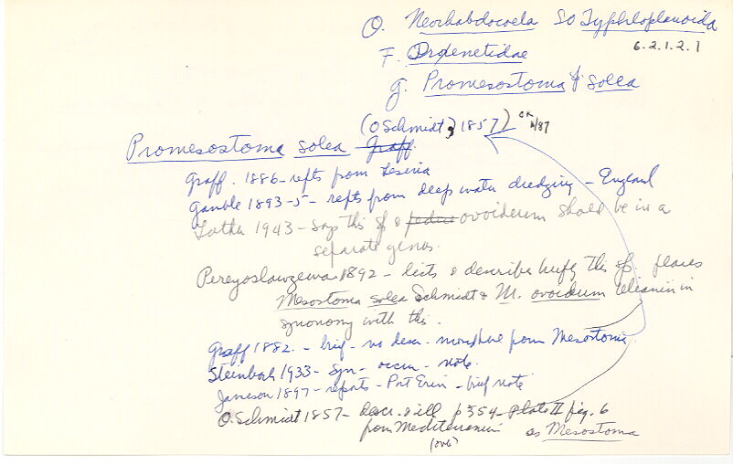 index card