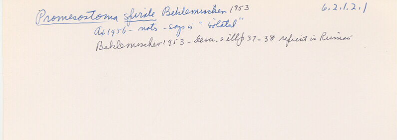 index card