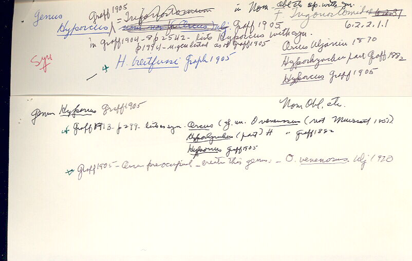 index card