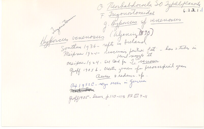 index card