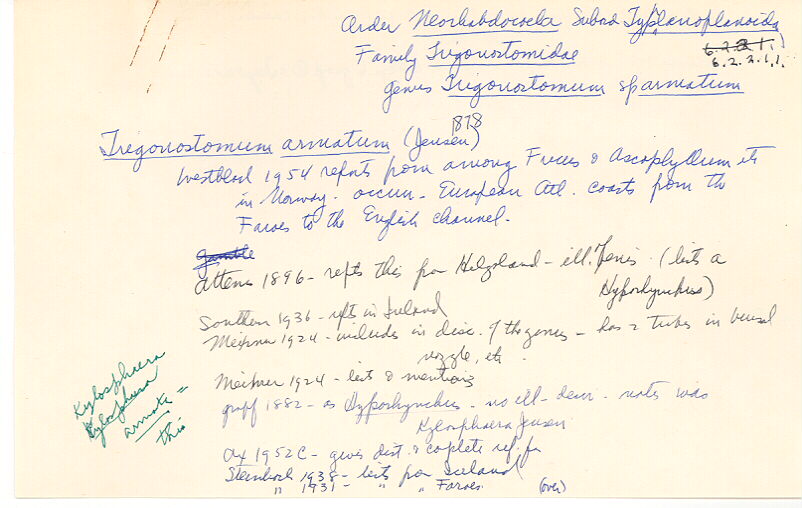 index card