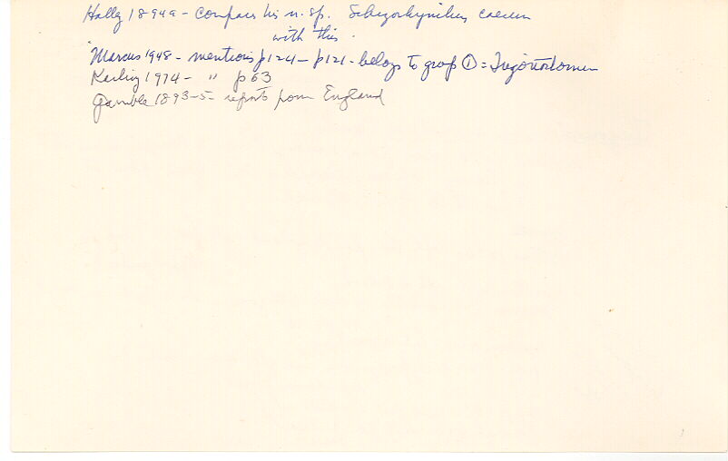 index card