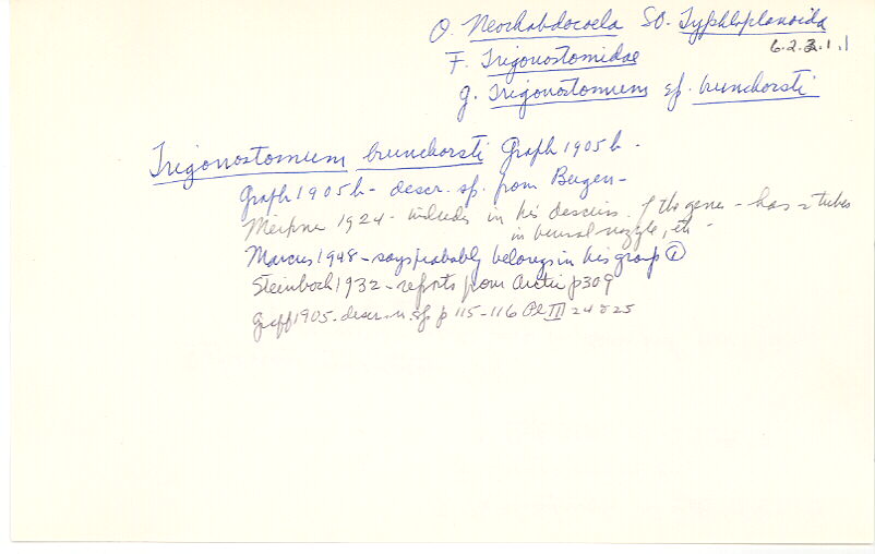 index card