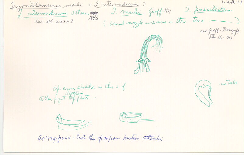 index card