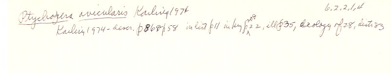index card