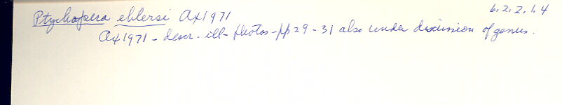 index card