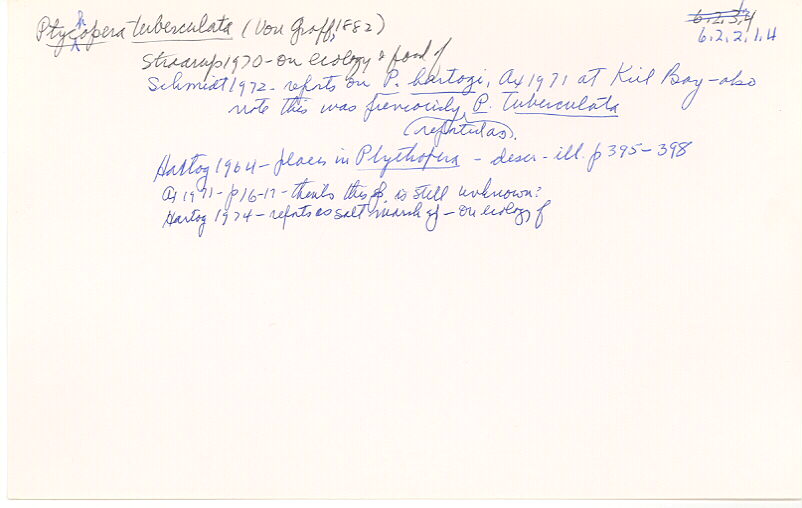 index card
