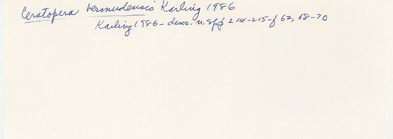index card