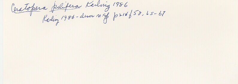 index card
