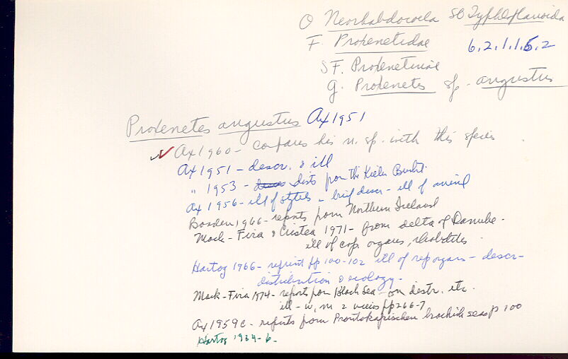 index card