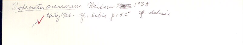 index card