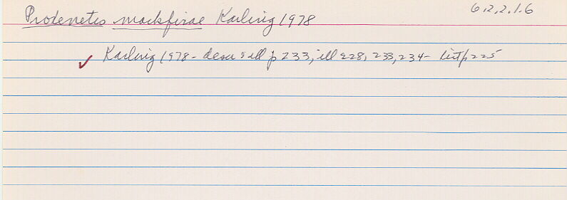 index card
