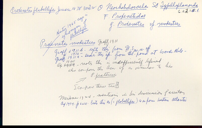 index card