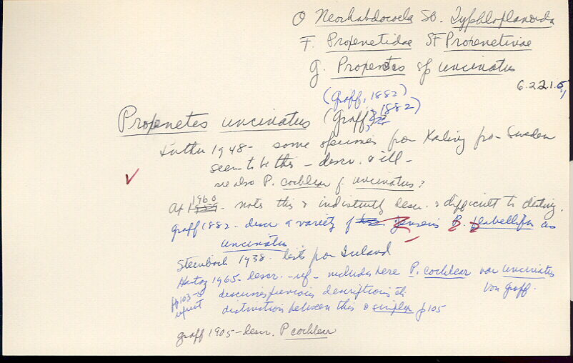 index card