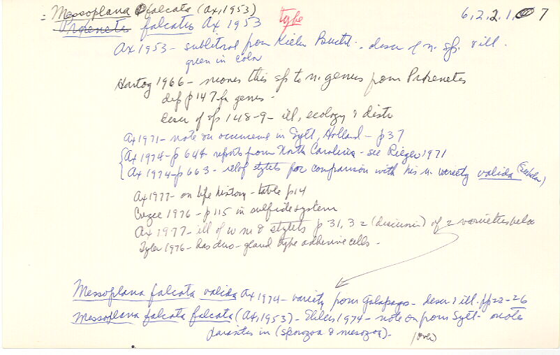 index card