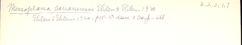 index card