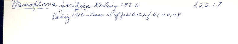 index card