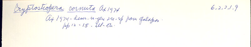 index card