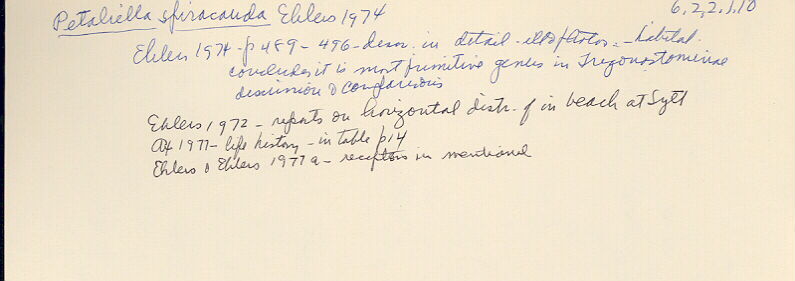 index card