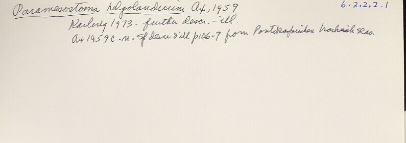 index card